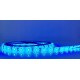 Taśma LED RGB 5050 30 LED IP65 12V DC barwa niebieska  wzrost i uprawa roślin GROW 1m