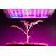 ZESTAW Taśma LED GROW do wzrostu roślin 0.5m